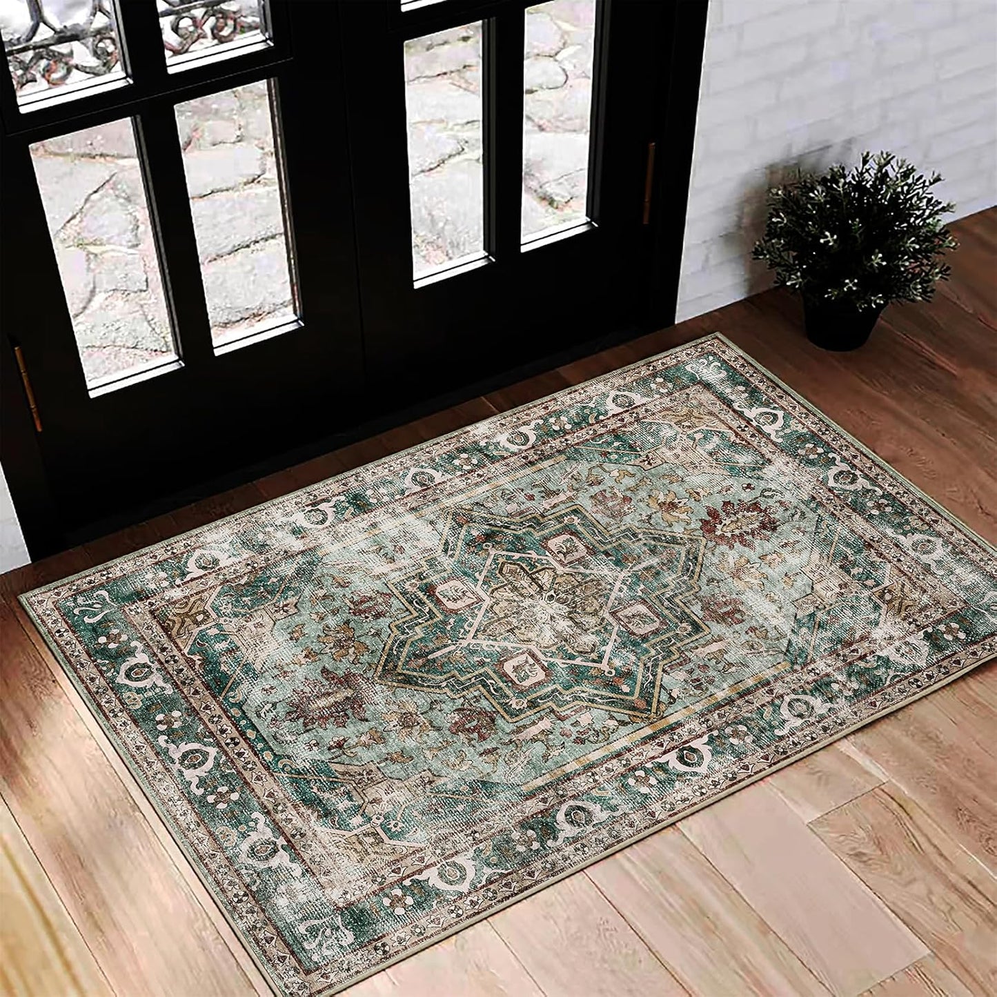 CHAMPLANT Area Rug Washable Living Room Non-Slip Kitchen Entryway Bedroom Carpet