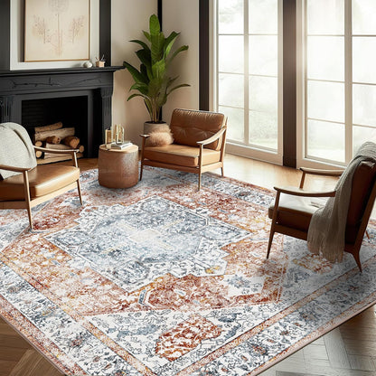 CHAMPLANT Area Rug Washable Living Room Non-Slip Kitchen Entryway Bedroom Carpet