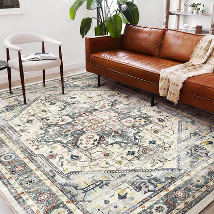CHAMPLANT Area Rug Washable Living Room Non-Slip Kitchen Entryway Bedroom Carpet