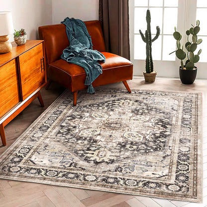 CHAMPLANT Area Rug Washable Living Room Non-Slip Kitchen Entryway Bedroom Carpet