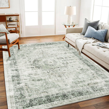 CHAMPLANT Area Rug Washable Living Room Non-Slip Kitchen Entryway Bedroom Carpet