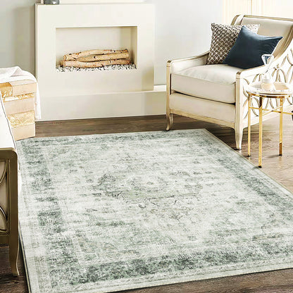CHAMPLANT Area Rug Washable Living Room Non-Slip Kitchen Entryway Bedroom Carpet