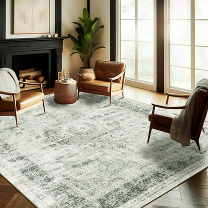 CHAMPLANT Area Rug Washable Living Room Non-Slip Kitchen Entryway Bedroom Carpet