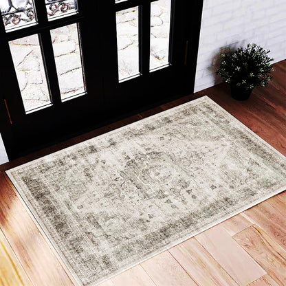 CHAMPLANT Area Rug Washable Living Room Non-Slip Kitchen Entryway Bedroom Carpet