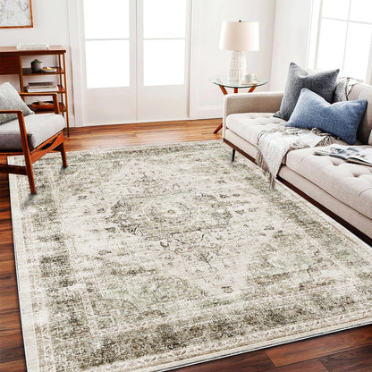 CHAMPLANT Area Rug Washable Living Room Non-Slip Kitchen Entryway Bedroom Carpet