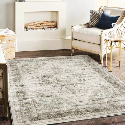 CHAMPLANT Area Rug Washable Living Room Non-Slip Kitchen Entryway Bedroom Carpet