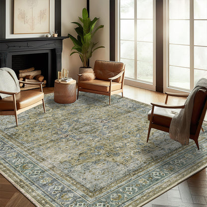 CHAMPLANT Area Rug Washable Living Room Non-Slip Kitchen Entryway Bedroom Carpet